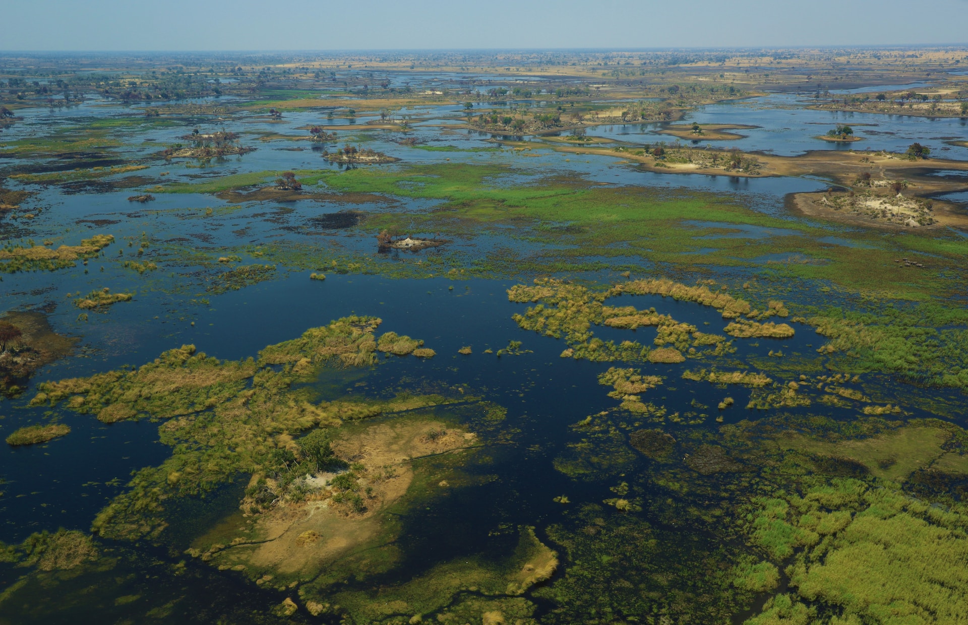 The African Safari You've Never Heard Of: Unusual Wildlife Experiences ...