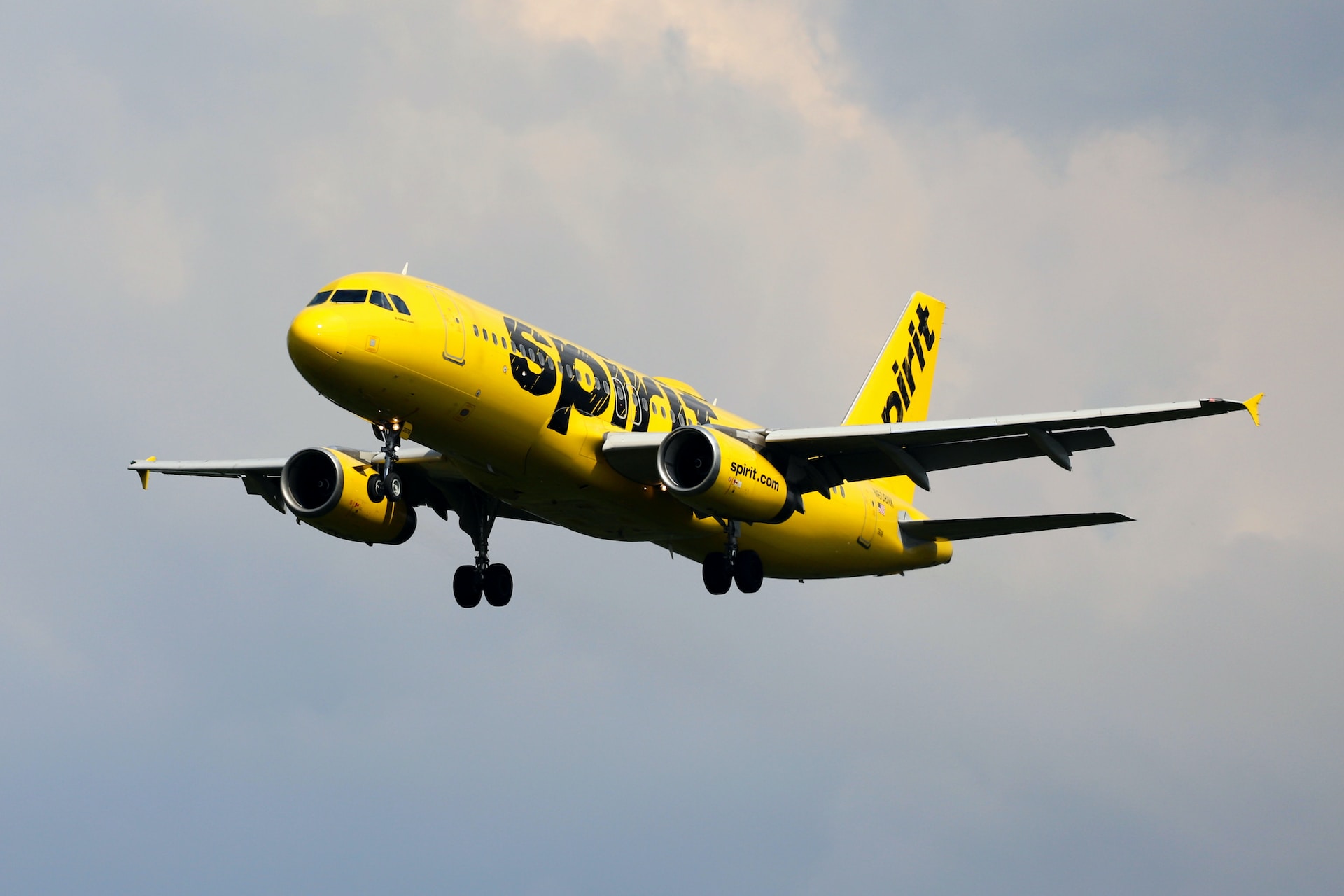 Elevate Your Spirit Airlines Experience: Unveiling the Magic of Phone Agents