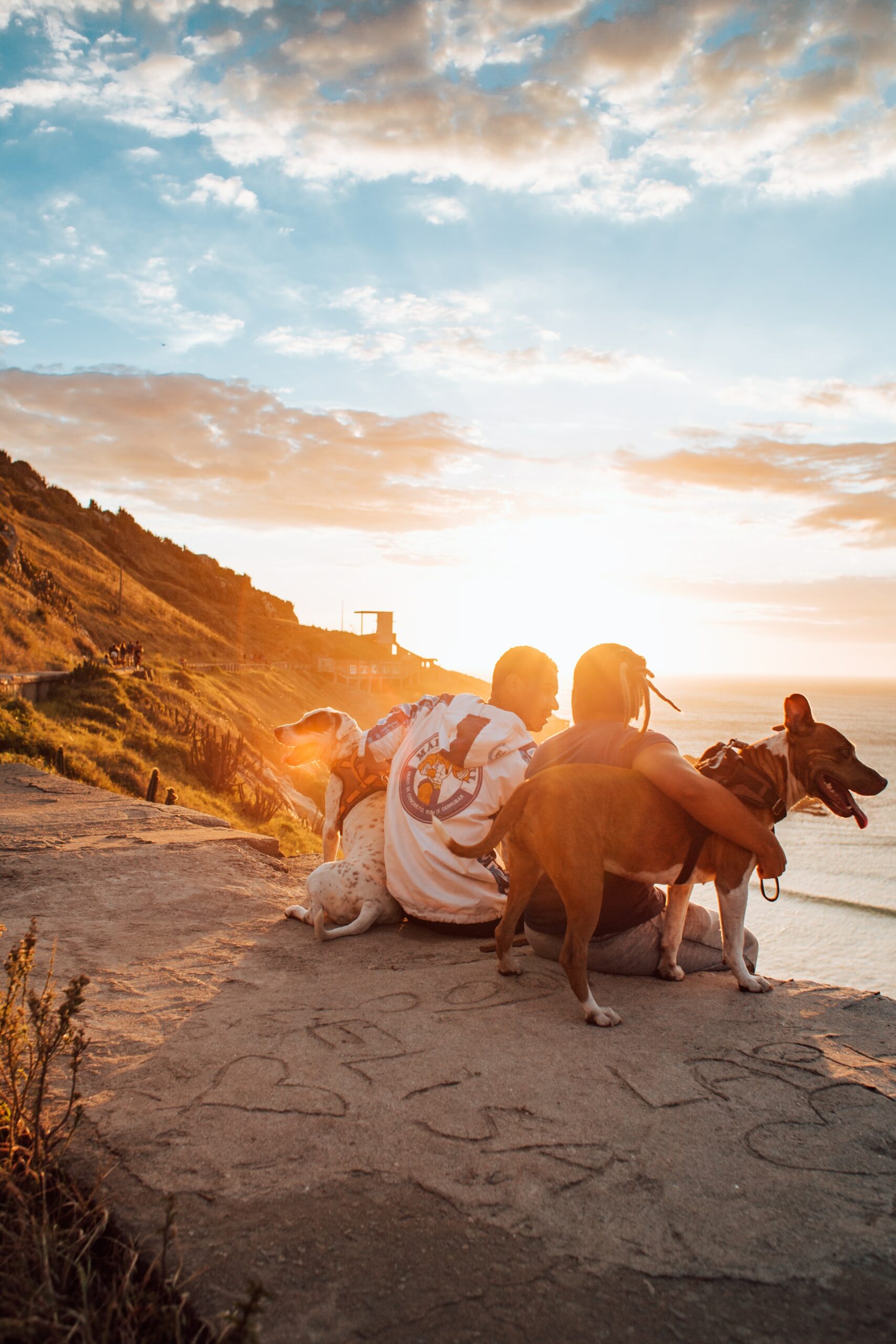 Jet-Set with Your Pet: Your Ultimate Guide to Traveling with Furry Friends!