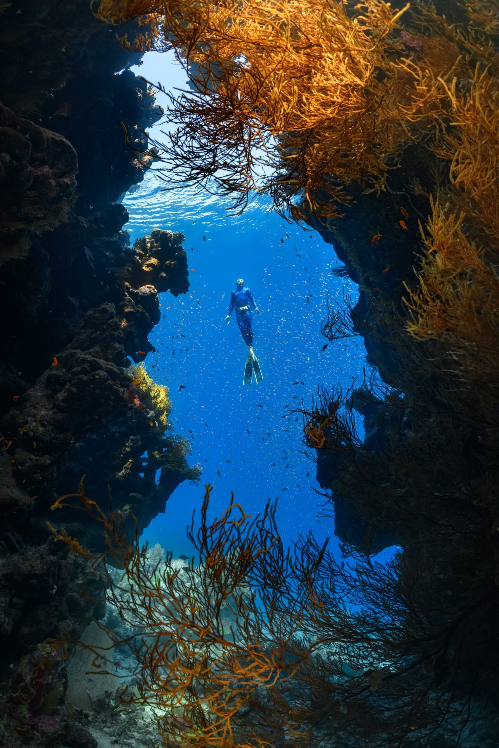 Dive into The Deep: Top Spots for Underwater Adventures!