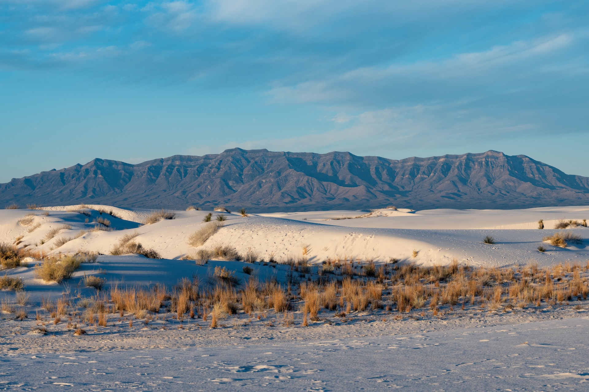 Mystical Deserts and Where to Find Them: Lose Yourself in Nature's Wonder