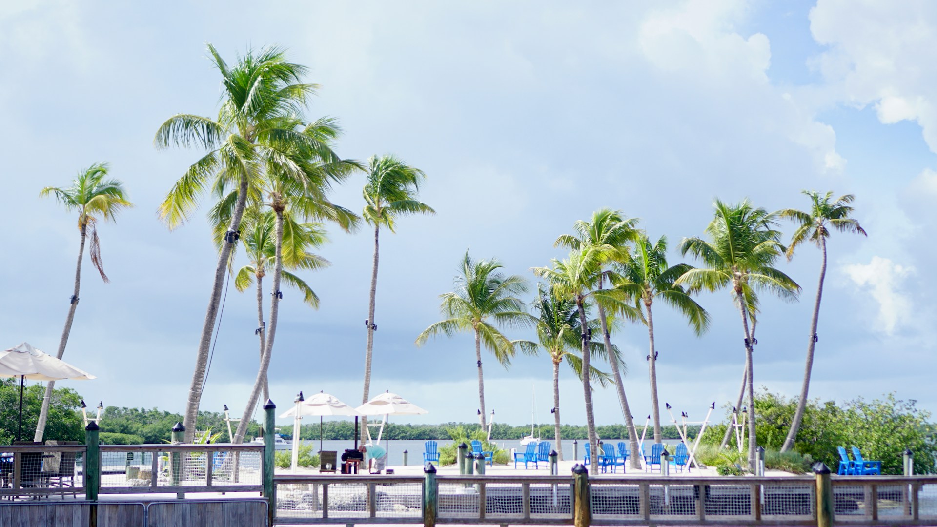 Cheap Flights to Key West: Ultimate Guide to Booking &#038; Travel Tips